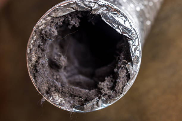 Best Dryer Vent Cleaning Services  in Kilmarnock, VA